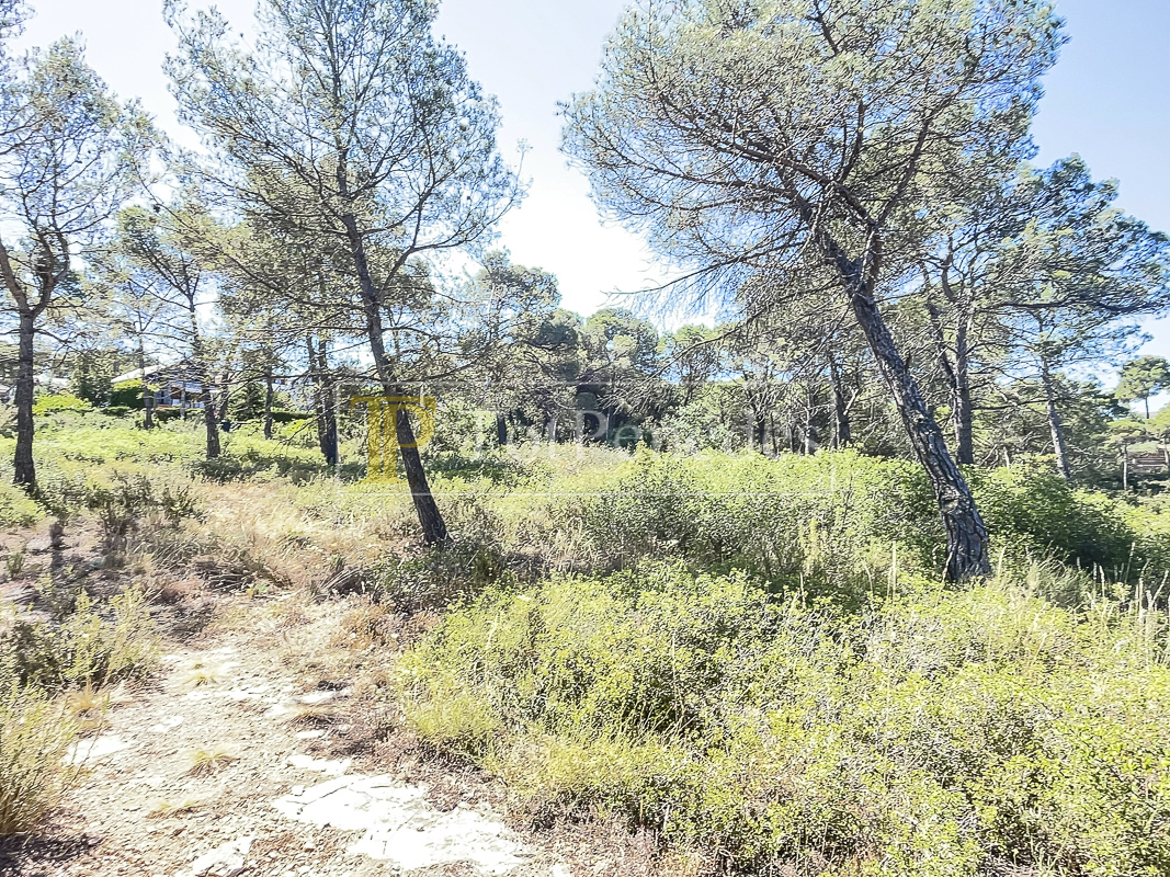 Parcel·la urbana en venda a La Font del Bosc, Mediona