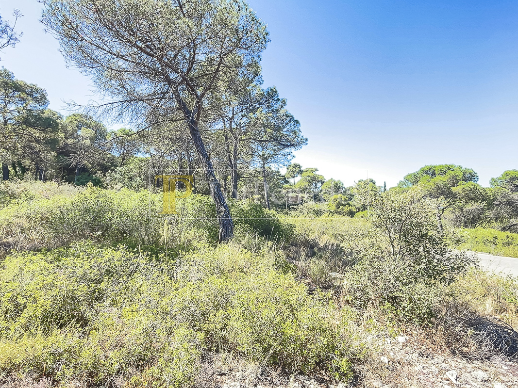 Parcel·la urbana en venda a La Font del Bosc, Mediona