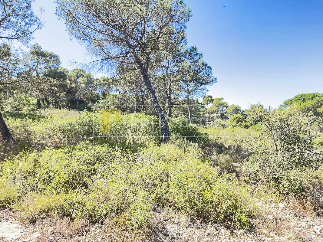 Parcel·la urbana en venda a La Font del Bosc, Mediona