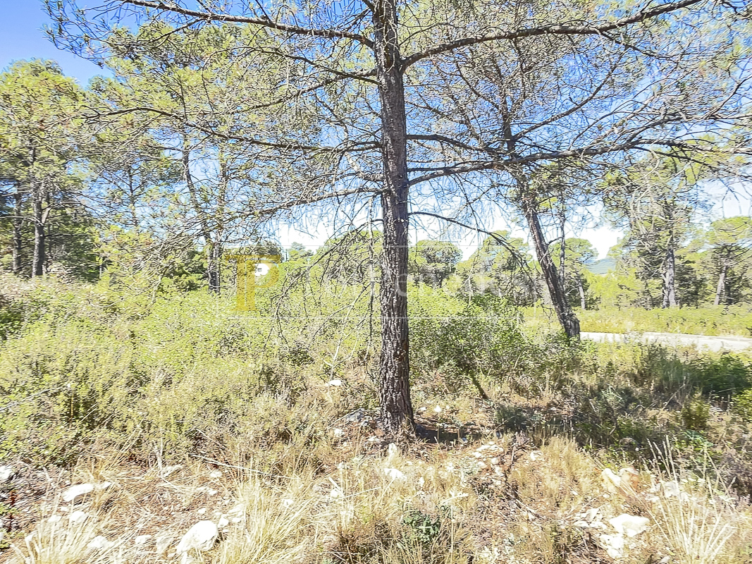 Parcel·la urbana en venda a La Font del Bosc, Mediona
