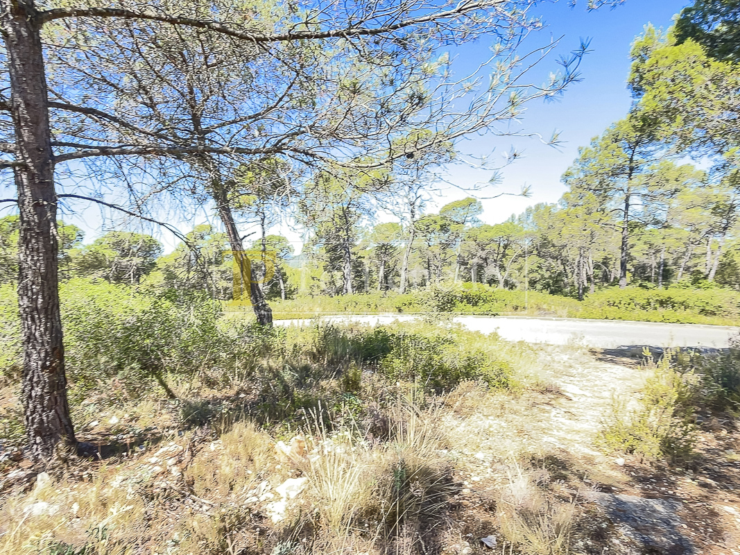 Parcel·la urbana en venda a La Font del Bosc, Mediona