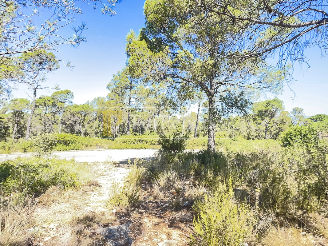 Parcel·la urbana en venda a La Font del Bosc, Mediona
