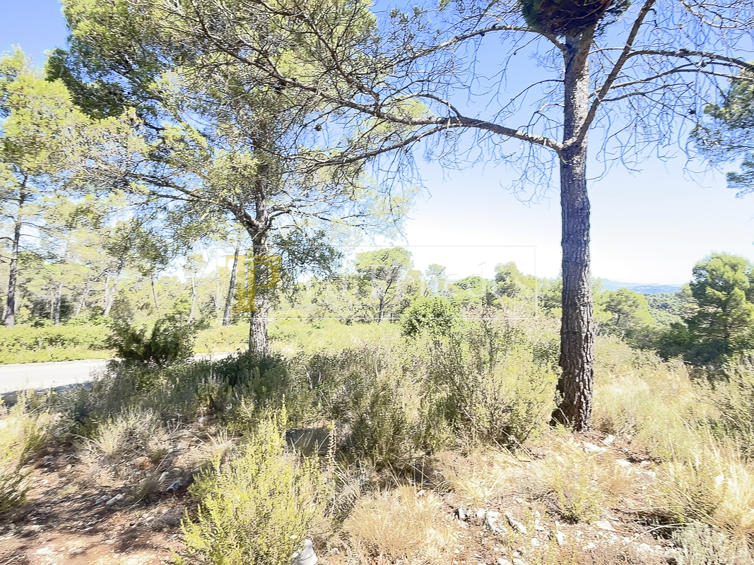 Parcel·la urbana en venda a La Font del Bosc, Mediona