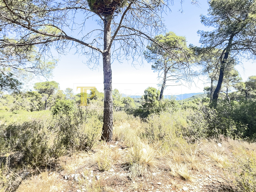 Parcel·la urbana en venda a La Font del Bosc, Mediona