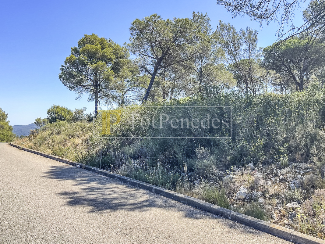 Parcel·la urbana en venda a La Font del Bosc, Mediona